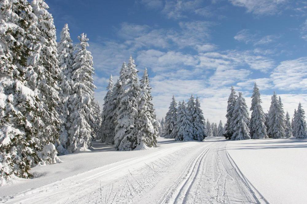 Apartman Na Svahu, Krkonose Žacléř Bagian luar foto